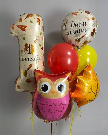 Набор шаров "Умный совенок"