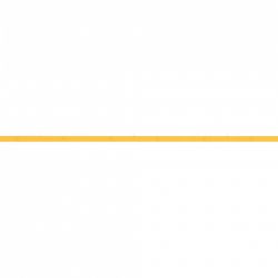 Лента светодиодная Arlight COB 042031