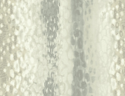 Обои Carl Robinson Edition 2 23808 CB