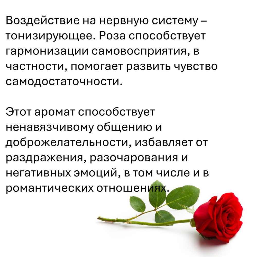 Роза, кубики восковые для ароматизации, 10 штук