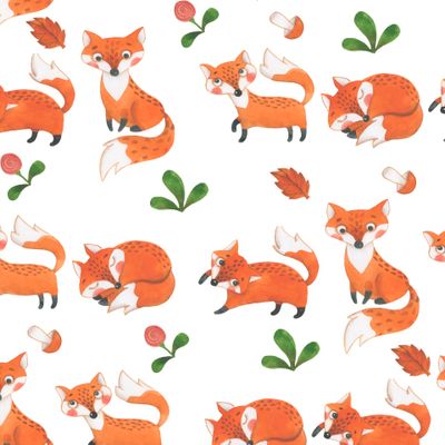 Ряды лисичек на белом фоне