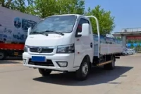 Dongfeng EQ1030/1040, 2023