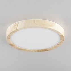 Накладной светильник Citilux Бейсик CL738122N