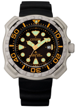 Мужские наручные часы Citizen BN0220-16E