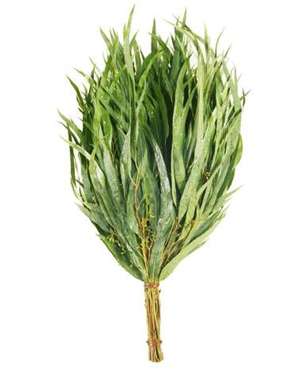 Веник ЭВКАЛИПТОВЫЙ