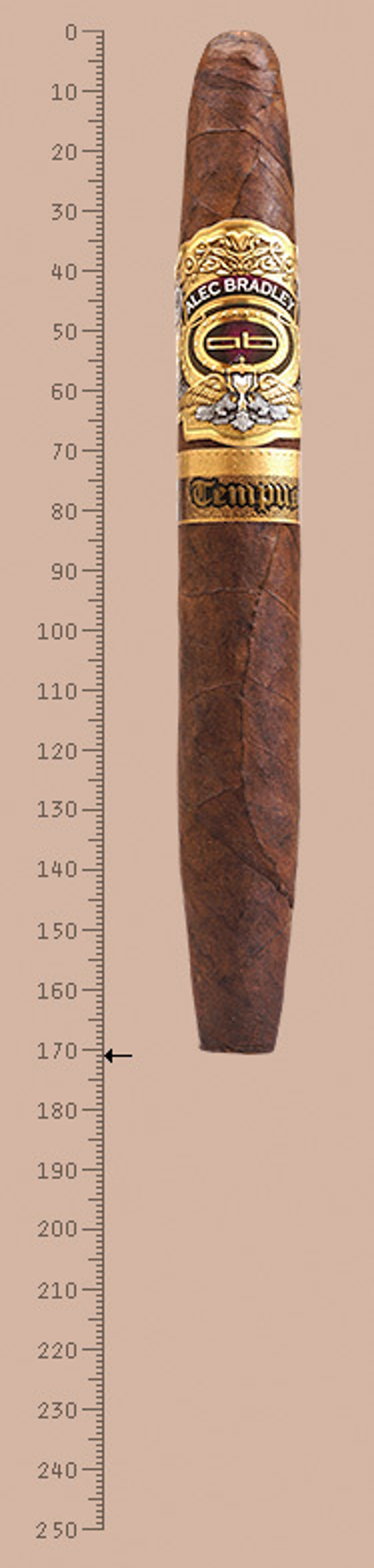 Alec Bradley Tempus Figurado