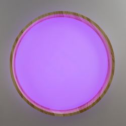 Citilux ENZO CL753352G LED RGB Светильник с пультом Клён