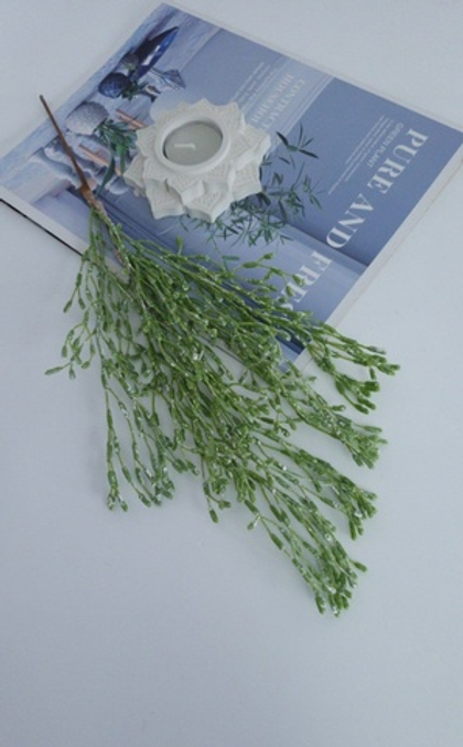 Суккулент / Арт 8019