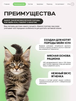 Корм сухой для котят породы Мейн-кун, с ягненком, 2 кг, QUATTRO