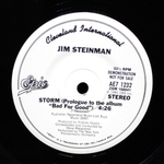 Jim Steinman / Bad For Good (LP+7" Vinyl Single)