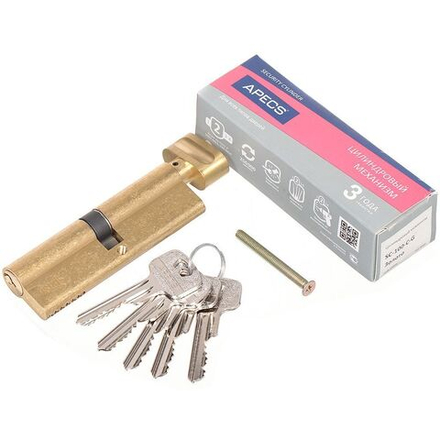 Личинка замка двери Apecs, SC-100-C-G (SC-100-Z-C-G), 11656, 100 мм, золото