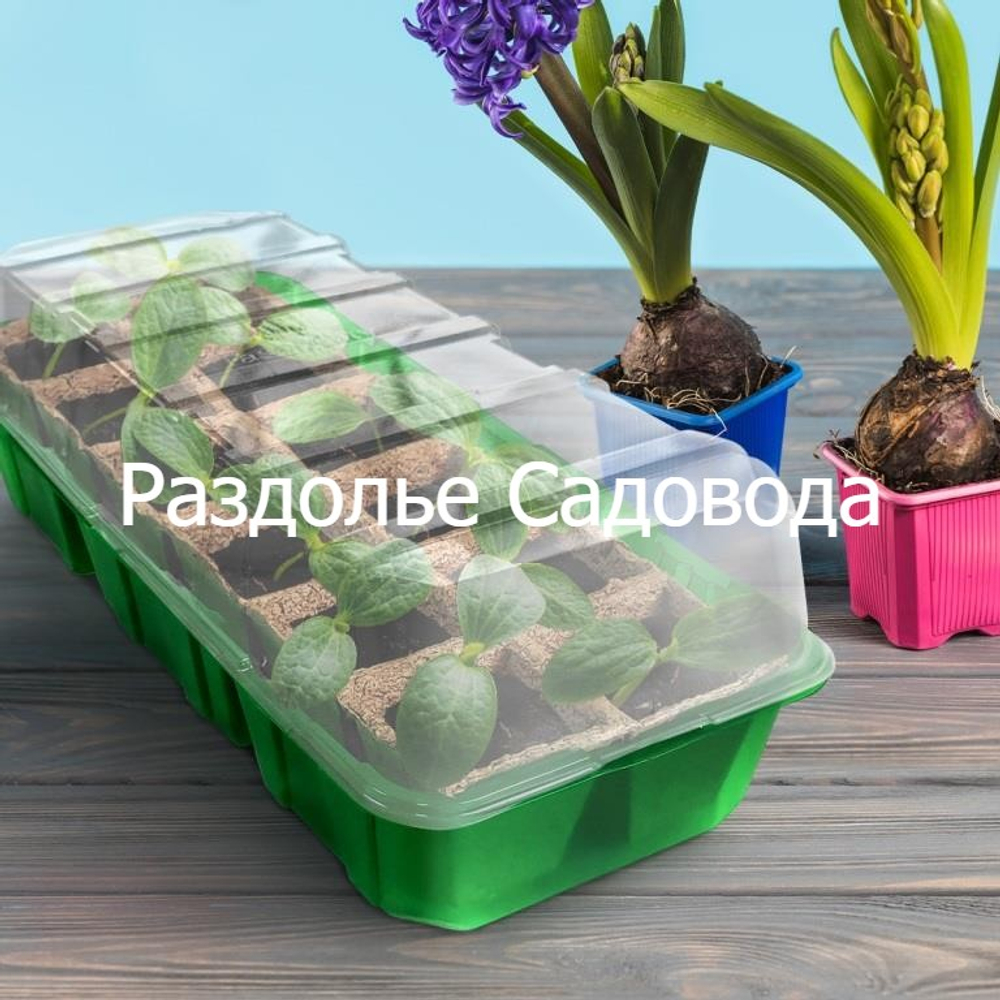 Мини-парник с торфяными горшочками