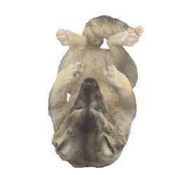 GAEM Подставка для бутылки "Волк", L22,5 W11 H17 см