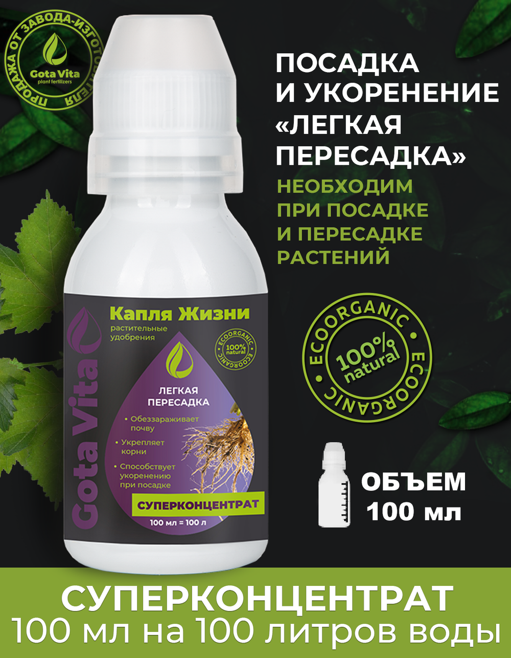 Легкая пересадка
