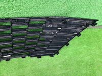 Решетка радиатора Changan CS55PLUS (2021-2024)