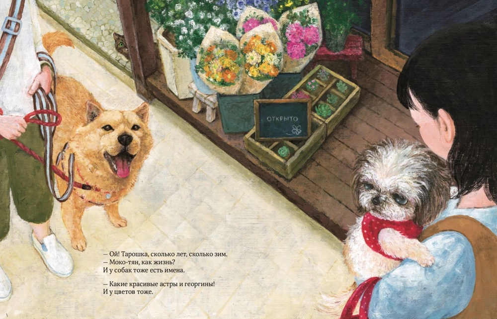 Кот без имени