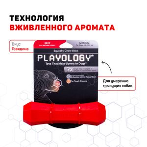 Жевательная палочка Playology SQUEAKY CHEW STICK для собак средних и крупных пород с ароматом говядины, большая, цвет красный