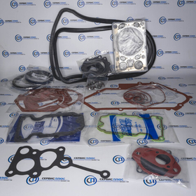 Ремкомлект ДВС WP13 (полный)