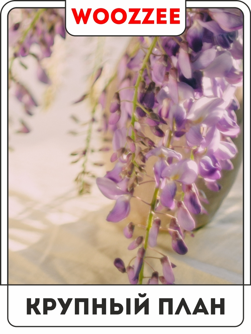 Набор постеров "Розовый букет" 3шт.