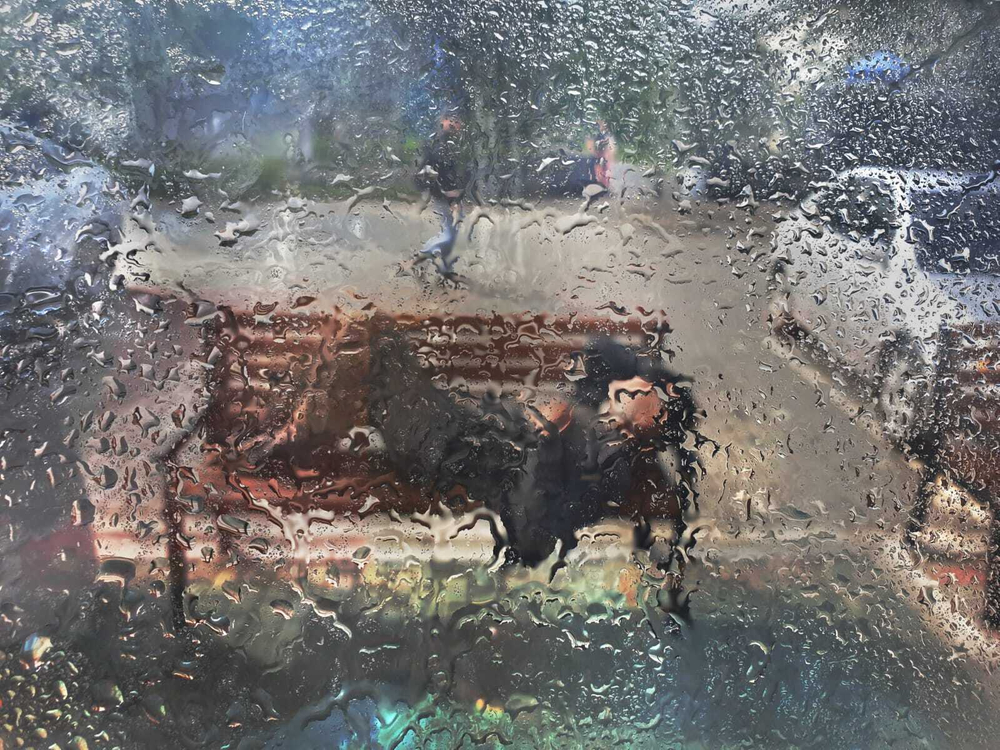 И. Сулковский "Дождь рождает стихи". Авторское фото