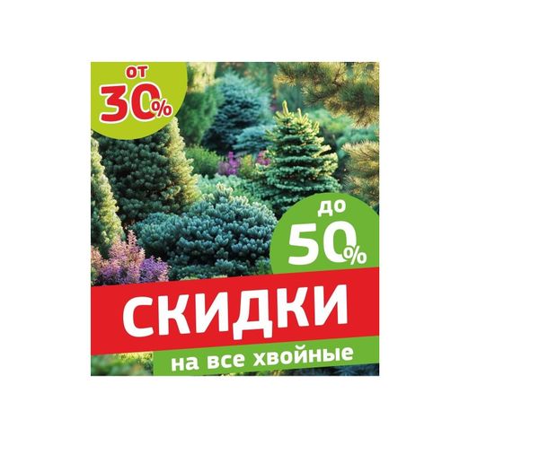 Грандиозная распродажа с 19 сентября!