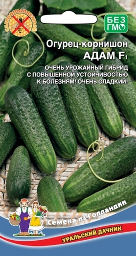огурец-корнишон Адам F1