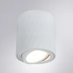 Точечный накладной светильник Arte Lamp FANG
