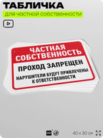 Табличка для частной территории "Частная собственность, проход запрещен", на дом, для участка, организаций, предупреждающая, 40х30 см, Silver Plane x Айдентика Технолоджи