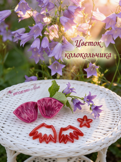 Цветок колокольчика