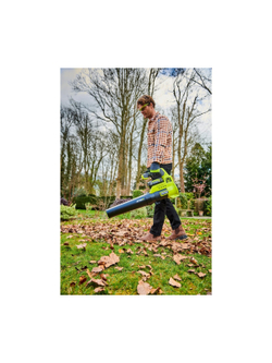 Воздуходувка Ryobi MAX POWER 36В RY36BLA-0 5133004576