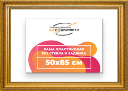 Рама 50x85 для картин и фотографий