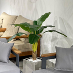 5.23. Искусственные растения в кашпо для мебельного салона.