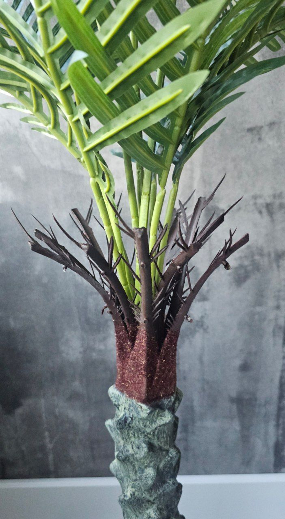 Пальма финиковая