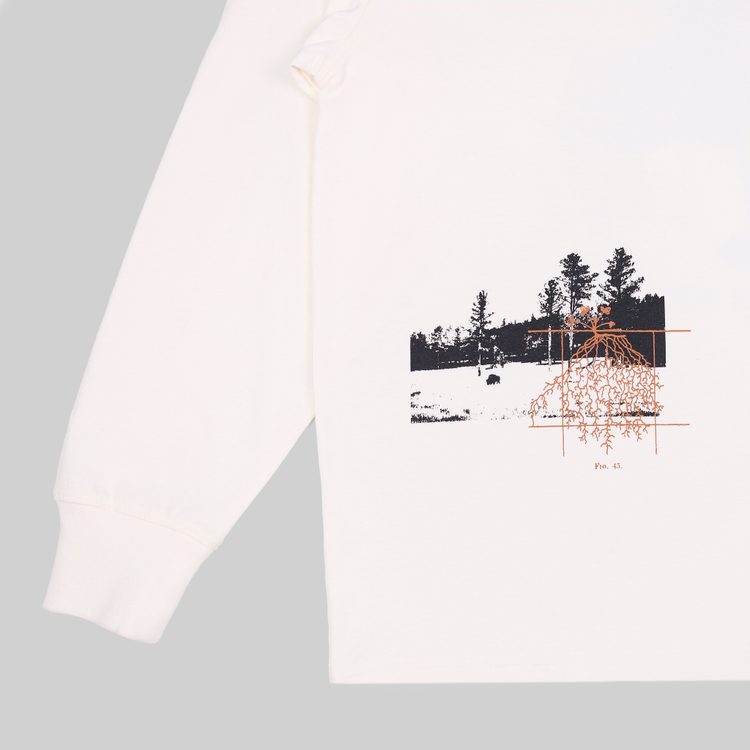 Лонгслив мужской Dickies Kenbridge Tee артикул:DK0A4YVRC581 - купить в магазине Дайс