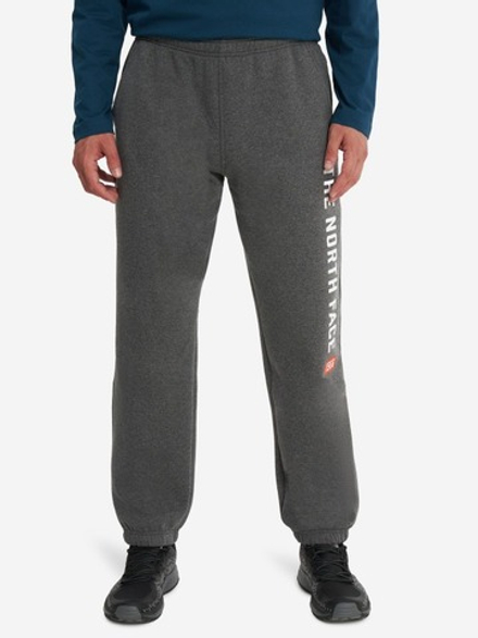 THE NORTH FACE / Брюки спортивные мужские