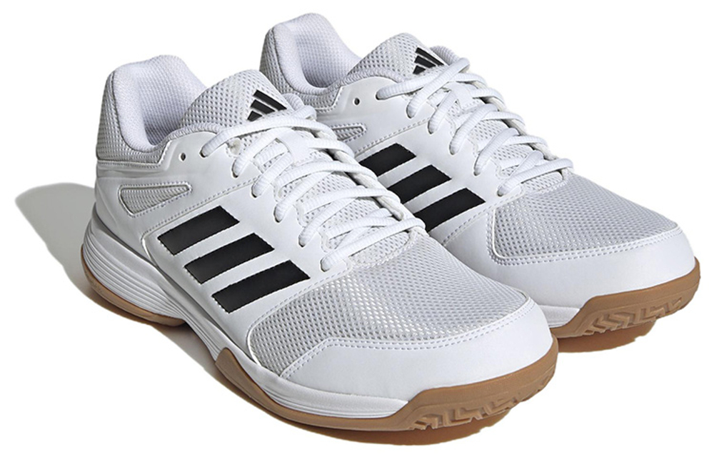 Adidas Speedcourt Volleyball Shoes "White Gum Black"