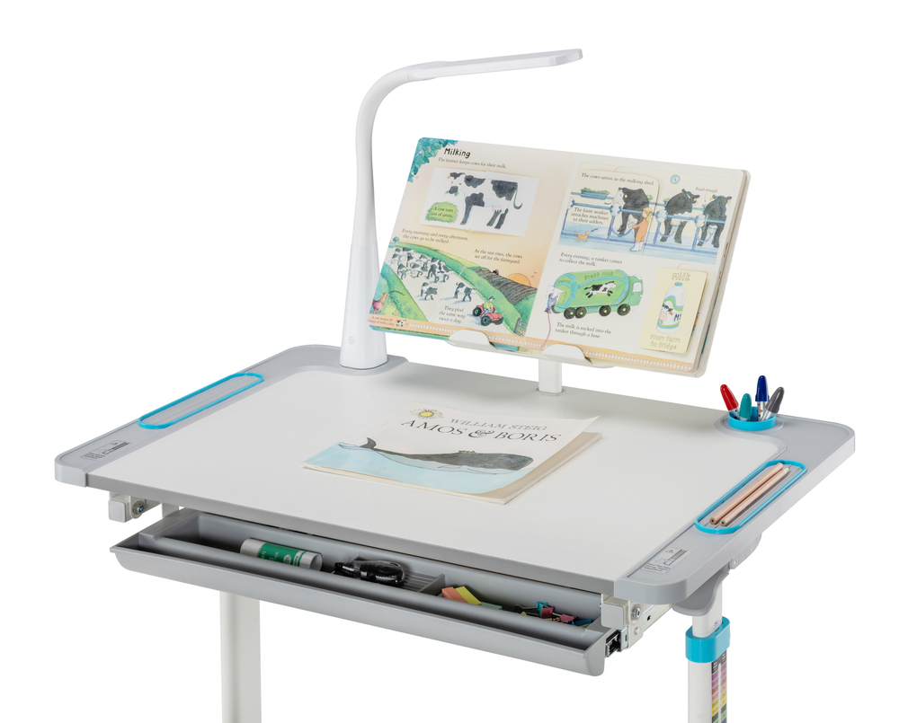 Комплект растущей детской мебели Fundesk Littonia парта + стул + выдвижной ящик + подставка + лампа