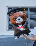 Шар-фигура, фольга, "Выпускник. Медведь" (Falali), 37"/94 см (БГ-35)