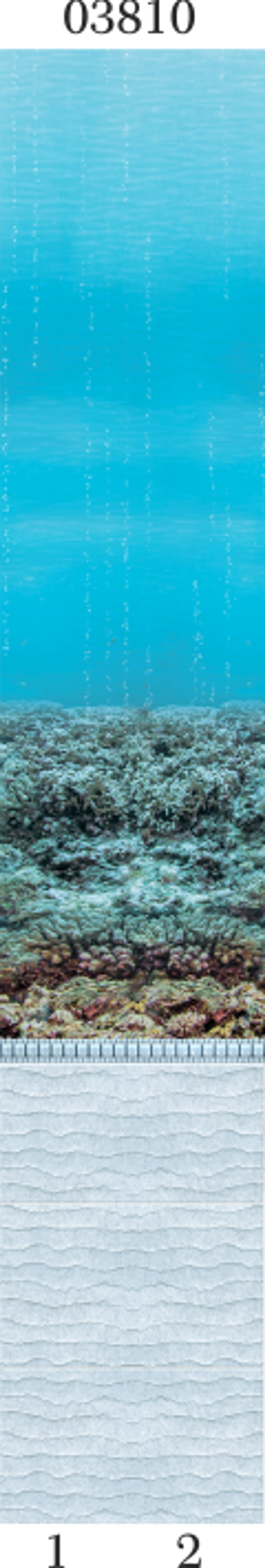 Панель ПВХ фотопечать 3D Panda Подводный мир 2700х250 мм