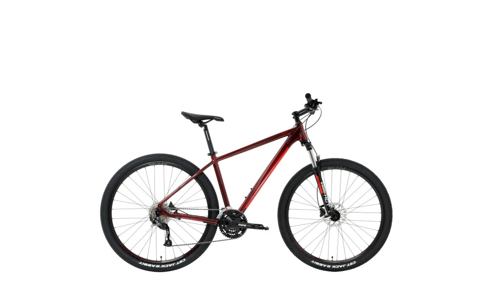 Горный велосипед Welt Rockfall 2.0 29 (2023)