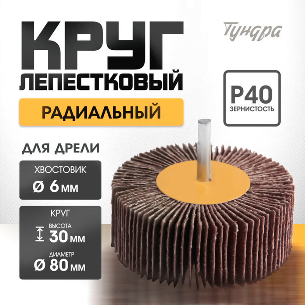 Круг лепестковый радиальный ТУНДРА, 80×30×6 мм, Р40