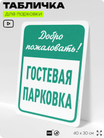 Табличка для парковки "Добро пожаловать, гостевая парковка", для дома, офиса, организаций, 40х30 см, Silver Plane x Айдентика Технолоджи