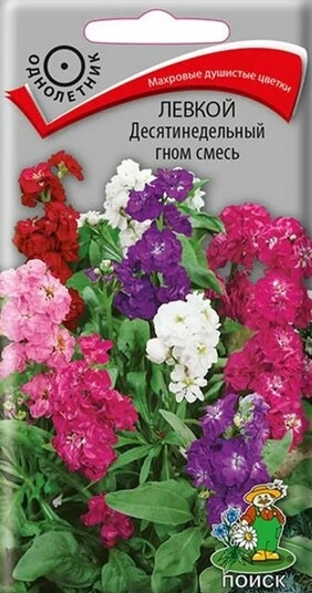 Левкой Десятинедельный гном