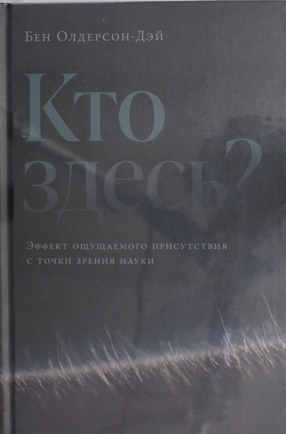 Кто здесь? Эффект ощущаемого присутствия с точки зрения науки