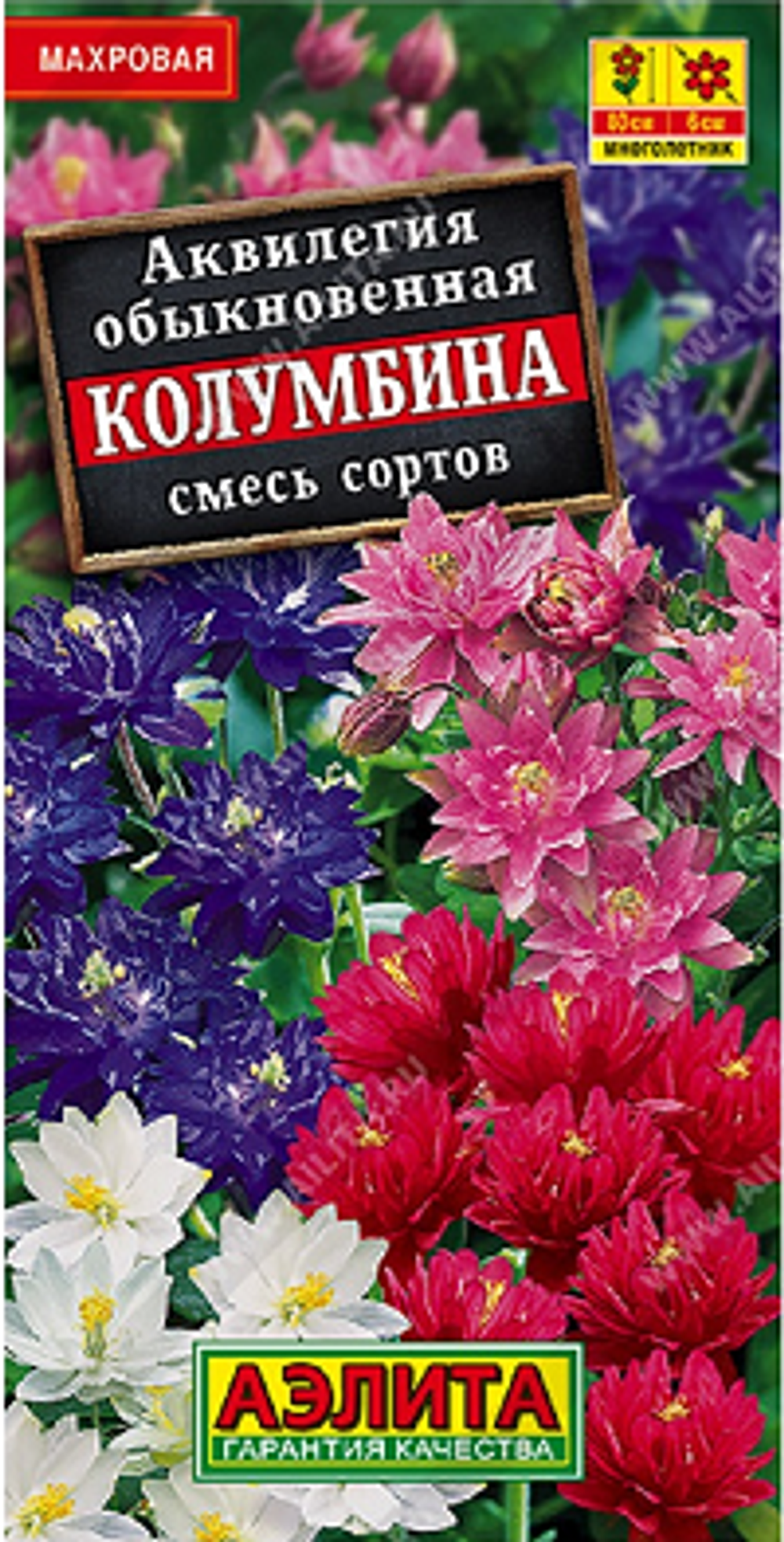 Аквилегия Колумбина, смесь сортов