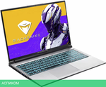 Игровой ноутбук Machenike L15 Pulsar 2K JJ00GE00GRU