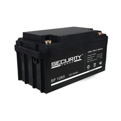 SF 1265 аккумулятор Security Force