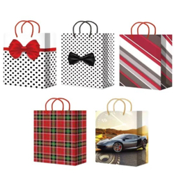 Пакеты подарочные 22х31+10 см, (10/50 шт)