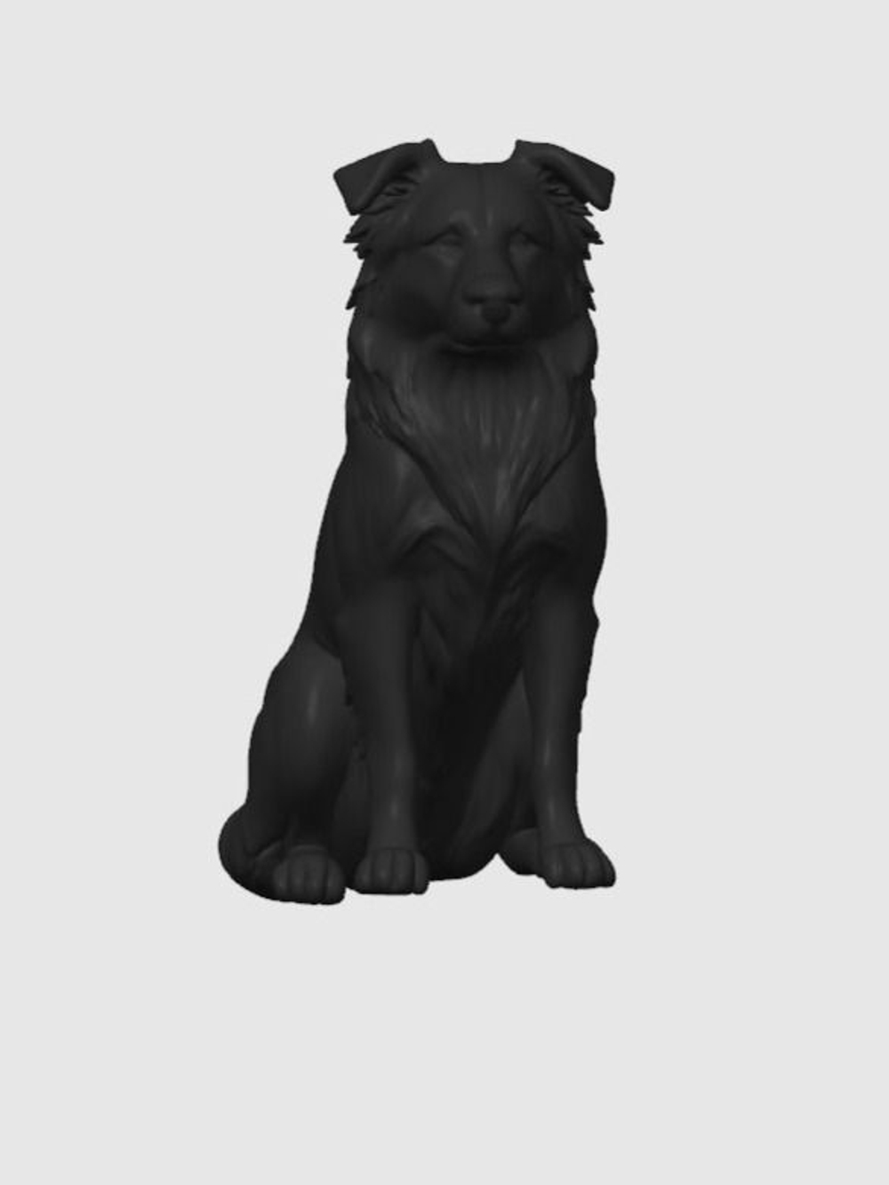 Бордер-колли