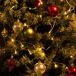 ULD-S2500-225-STK WARM WHITE IP20 Гирлянда светодиодная. 25м. Соединяемая. 225 светодиодов. Теплый белый свет. Провод прозрачный. ТМ Uniel